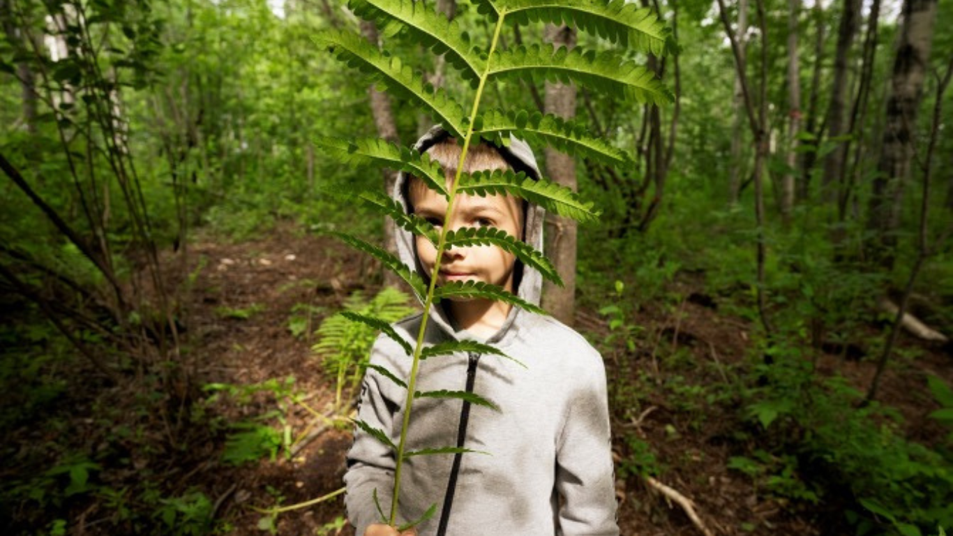 Activités en nature AuGrandAir